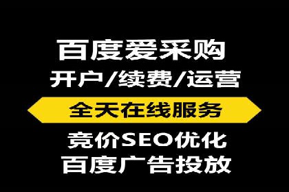 百度SEO推广策略：如何快速提升网站排名？——案例详解